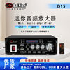 Bluetooth Power Amplifier High Power Mini Power Amplifier Home 220V12 Volt Car Speaker Amplifier AV Power Amplifier