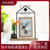 Wrought Iron Photo Frame Double-sided Windmill Shape Creative Simple 2 6-inch Photo Frame Plant Specimen Desktop Table