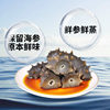 Dalian Ready-To-Eat Sea Cucumber Deep Sea Cucumber 6-12 Heads Ready-To-Eat Sea Cucumber Gift Box Fresh Sea Cucumber 500g Wholesale Sea Cucumber
