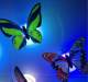 Creative colorful luminous butterfly night light can be pasted LED decorative wall lamp factory stall small toys wholesale