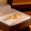 18k gold electrophoresis [open ring]