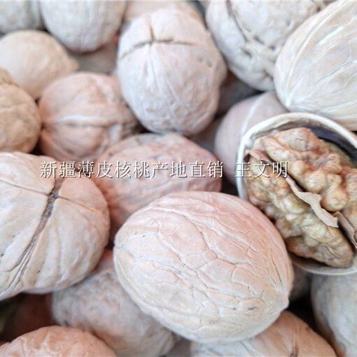 2024 Xinjiang Thin-Skinned Walnuts 1 Jin (0.5 kg) 2 Jin (1 kg) 2.5kg Bags Bulk Purchase Available for Dropshipping Large Kernels