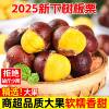 2025 New Chestnuts Fresh Sweet Soft Glutinous Large Dandong Chestnuts Wild Hairy Chestnuts Wholesale Free Shipping Warehouse