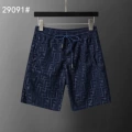29091 royal blue