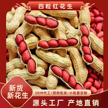 New Arrival Longyan Red Peanuts Farm-Dried Shelled Four Red Peanuts Roasted Seeds Specialty Red-Skinned Peanuts Wholesale