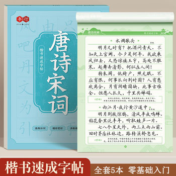 Commonly Used 8000-word Regular Script Copybook for Adults to Practice Calligraphy and Pen Control Training for Primary School Students Hard Pen Pen Calligraphy Practice Copybook