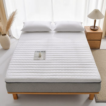 New Four-Season Thickened Dormitory Single Rental Mattress Cover Solid Color Anti-Slip Mattress