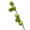 Simulated Green Plant Ornaments, Sugar Cotton Pufferfish Fruit, Zen Vase Inserts, Living Room Home Decoration Ornaments, Chestnut Fruit Bubble Fruit
