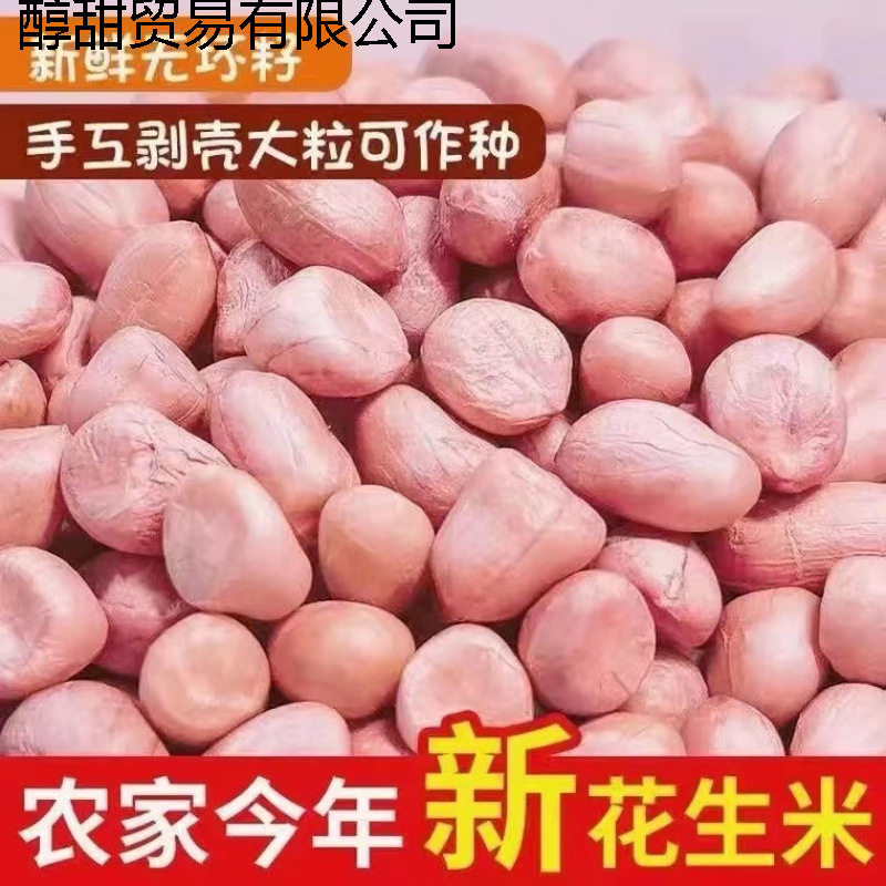 Raw Peanuts Wholesale, Freshly Peeled Peanuts, New Arrival, Powdered Rice, No Shell, Oil Extraction, White Sand Peanut Kernels