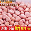 Raw Peanuts Wholesale, Freshly Peeled Peanuts, New Arrival, Powdered Rice, No Shell, Oil Extraction, White Sand Peanut Kernels