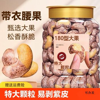 A180 Cashew Nuts Original Purple Skin 500g New Arrival with Skin Snacks Nuts Large Cashew Nuts Canned Large Wholesale