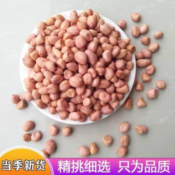 Peanuts 2.5kg Bulk Raw New Special Grade Oil-Pressed Large Peanut Kernels Seeds Large Particles Fragrant Farm-Produced