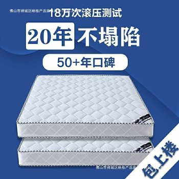 Mattress Soft and Hard Dual-Use 20cm Thick 1.95m m Household Double Economical Coconut Palm Spring Direct Sales Wholesale