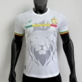 26 Senegal