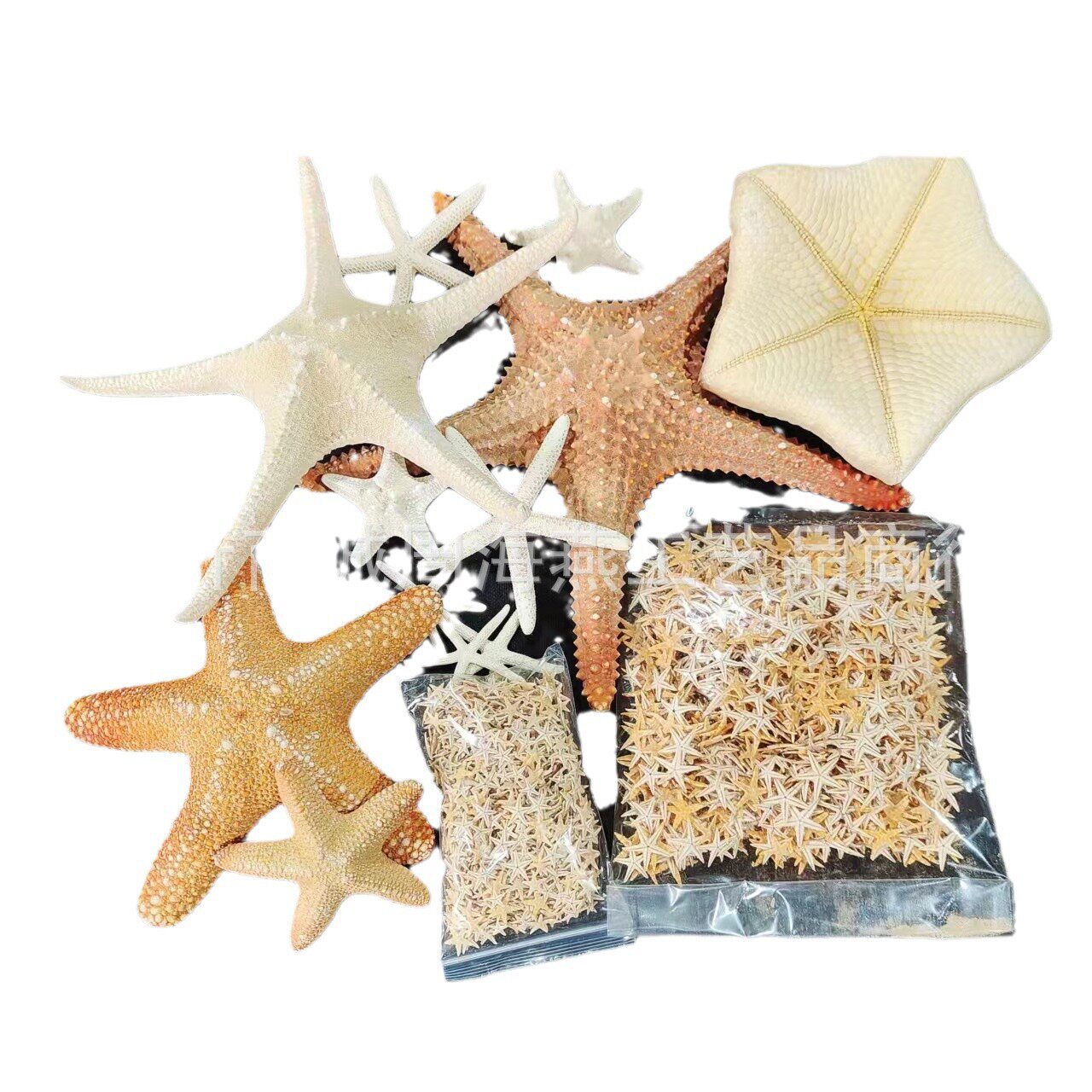 Shell Conch Window Display Mediterranean Decoration Bread Star Micro Landscape Ornaments Cultural and Creative Starfish