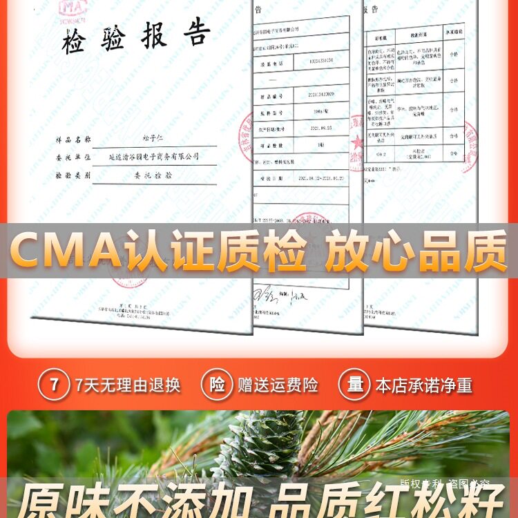 Changbai Mountain Wild Pine Nuts Cooked Extra Large Northeast Pine Nuts Raw Ready-To-Eat Pine Nut Meat New Original Red Pine 500g