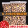 New Arrival Torreya Bagged Dried Nuts Torreya Seeds Shaoxing Zhuji Fengqiao Nut Snacks See Details Walnut Kernels