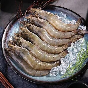 Ace Prawns, Fresh Quick-Frozen Super Large Base Shrimp, Sea Shrimp, Ecuadorian Frozen White Shrimp, South American Prawn Seafood