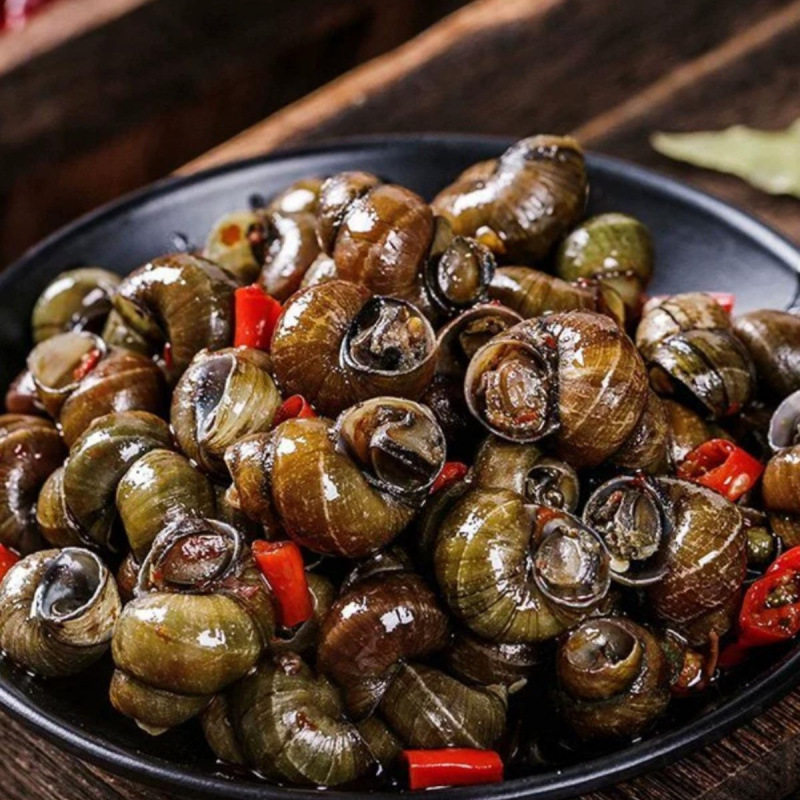 Spicy and Delicious Cooked and Frozen Snails as a Snack to Accompany Drinks