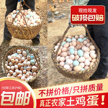 Congxiangqing Farmhouse Bamboo Forest Free Range Fresh Local Eggs Xiaomong Mountain Forest Freshly Picked Eggs Free Shipping