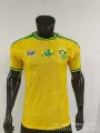 Player edition 262 south africa home
