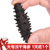 Large Light Dried Sea Cucumber, Good Price, Small Dried Sea Cucumber, Light Dried Sea Cucumber, Non-Wild Dalian Liao Sea Cucumber, Ready-To-Eat Dried Sea Cucumber