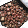 Authentic Qianxi Chestnuts, Fresh Shelled Oil Chestnuts, Selected Fresh Chestnut Kernels, Large and Plump Raw Chestnuts, Free Shipping