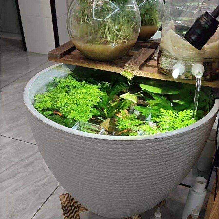 Courtyard Fish Tank, Plastic Traditional Fish Tank, Hydroponic Tank, Water Lily and Lotus Pot, Goldfish and Turtle Ecological Landscaping Ornamental Fish