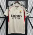 2526 benfica away fans