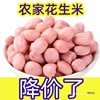 Discounted Fresh Peanuts 2.5kg Large Pieces Raw Peanuts 10 White Sand Large Oil-Pressed Peanuts Freshly Peeled New Skin