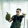 0.05-0.15kg Live Turtle Hatchlings from Outdoor Ponds, Ecologically Raised Turtle Hatchlings, Available Now, Turtle Hatchlings, Ecologically Raised Chinese Turtles