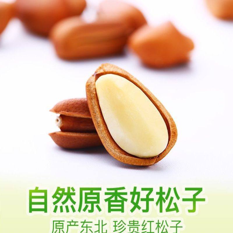 Large Pine Nuts Individually Packaged Northeastern High Opening Rate Hazelnut Dried Fruits Whole Nuts Wholesale Small Package Snacks