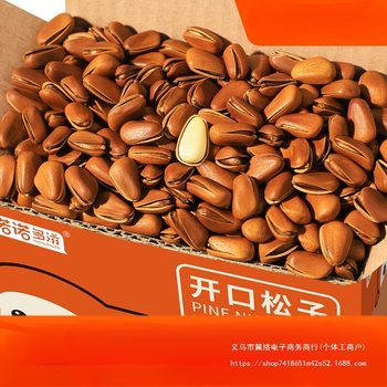 Open Pine Nuts 2025 New Arrival Extra Large Bulk Wholesale Nut King