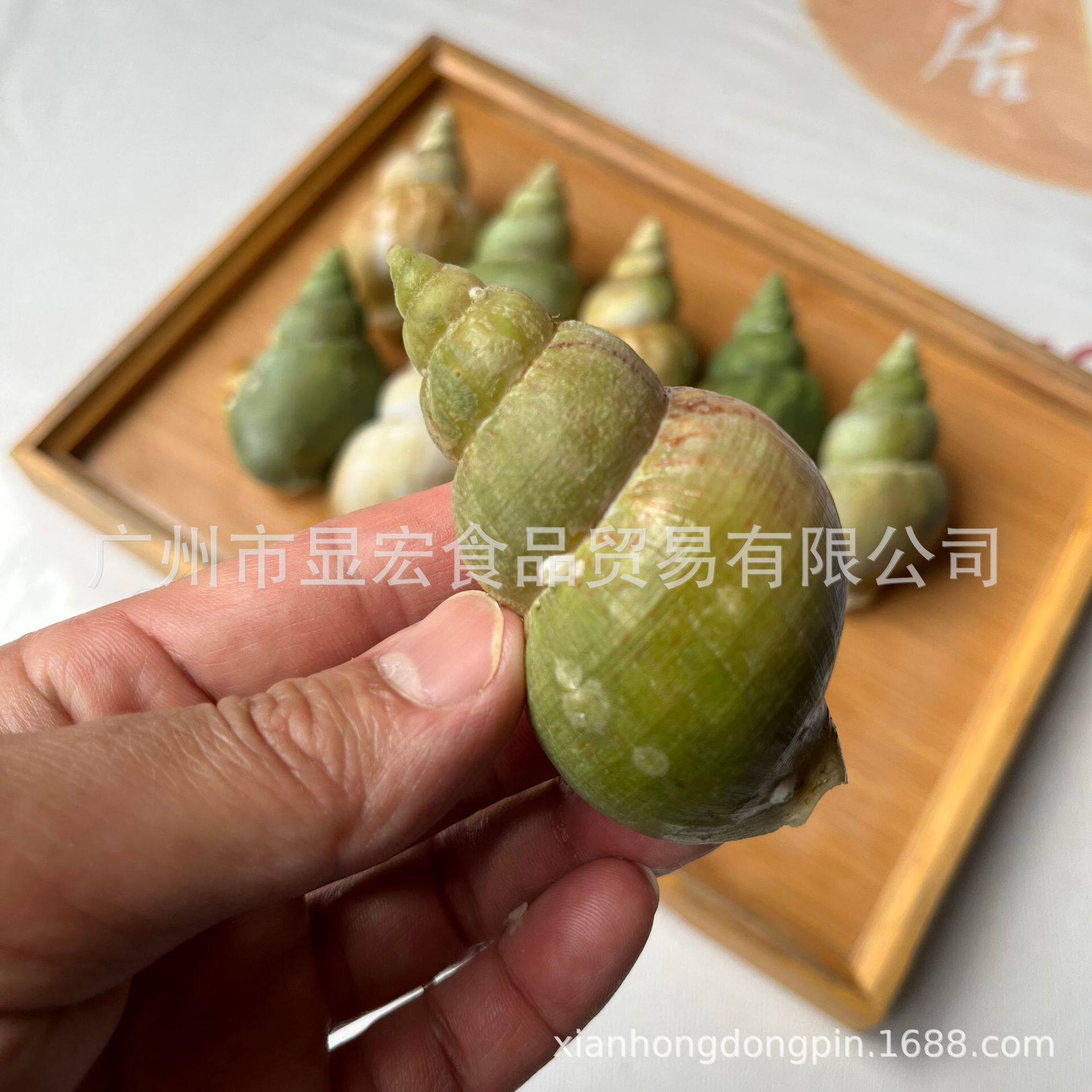 Cooked Frozen Jade Snail Frozen Conch Seafood Aquatic Products Wholesale Japanese and Korean Cuisine