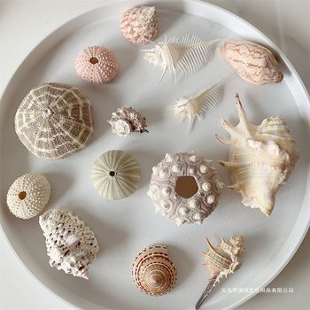 Starfish, Sea Urchin Shells, Conch Mixed Art Magazine Handbook, Ocean Style Fantasy Material, Handmade DIY Material Package