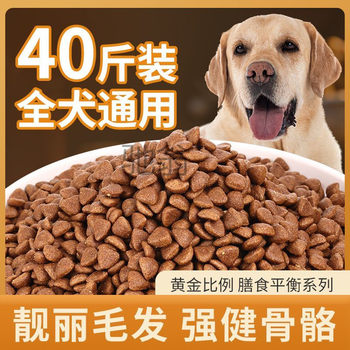 General-Purpose High-Calcium Hair-Beautifying 20-Pack Fattening Trial Pack for Adult Small-Sized Puppies, Golden Retriever, Chinese Shiba Inu
