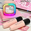 2025 New Hot Selling Record Player Bluetooth Speaker Cute Cat Microphone Singing Audio Birthday Girl with Microphone