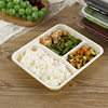 Spot Disposable Takeaway Fast Food Box Microwaveable Japanese Food Grade Plastic Pp Three-Compartment Packed Lunch Box