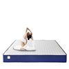 Memory Foam Box Mattress Vacuum Compressed Roll-Packed Mattress Independent Spring Lumbar Support Home-Use Simmons Mattress