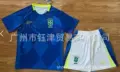 2526 brazil away game
