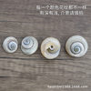 Bull's eye snail natural small conch shell rare specimen fish tank decoration shooting props hermit crab replacement shell wholesale