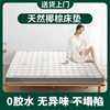 Glue-Free Coconut Palm Mattress, Hard Waist and Spine Protection Latex Mattress, Household Thickeneded Antibacterial and Anti-Mite Bedroom Folding Mattress