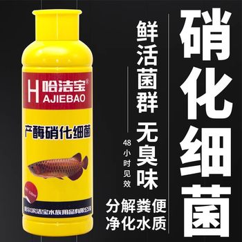 Ornamental Fish Tank Aquarium purification aquatic plant maintenance liquid nitrified bacteria air tank companion dragon fish non-veterinary medicine fish medicine