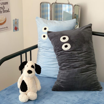 2024 autumn and winter new ins mix and match big eye milk velvet single product pillowcase pillowcase single pillow leather 48*74 single person