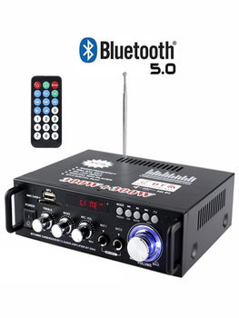 Mini Small Power Amplifier Speaker Power Amplification Plug-In Card U Disk Radio Dc 12V 220V Bluetooth Power Amplifier