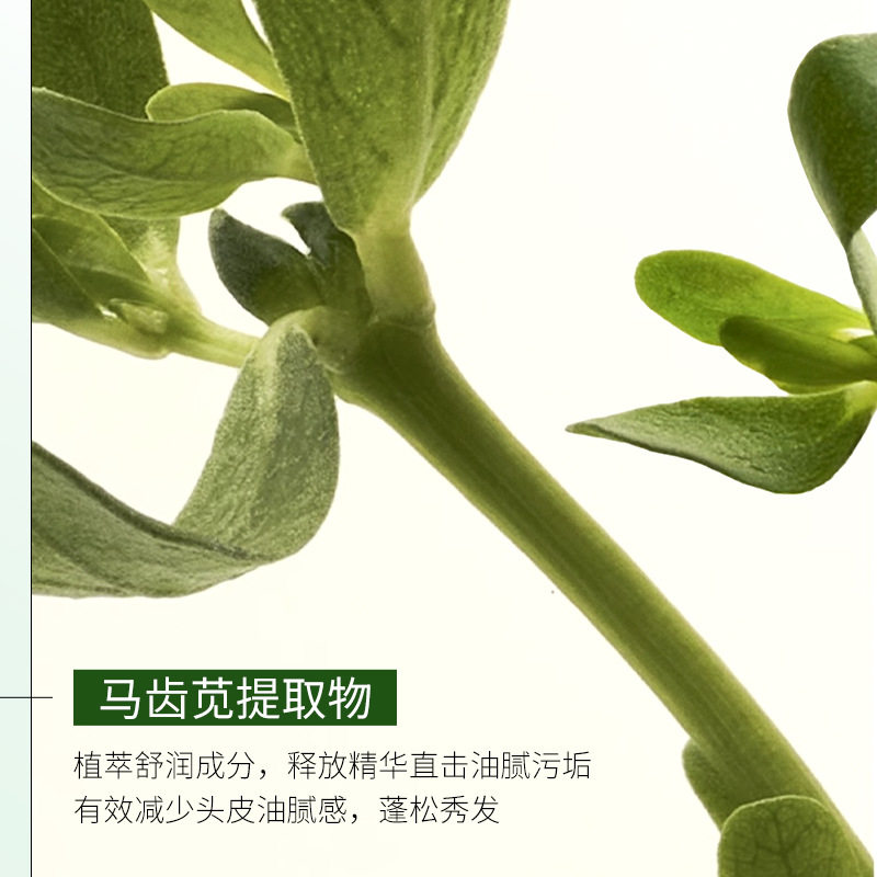 Dr. Dumei's No-Wash Shampoo Cleanses and Refreshes, Reduces the Greasy Feeling on the Scalp, Cleans Dirt and Fluffy Shampoo