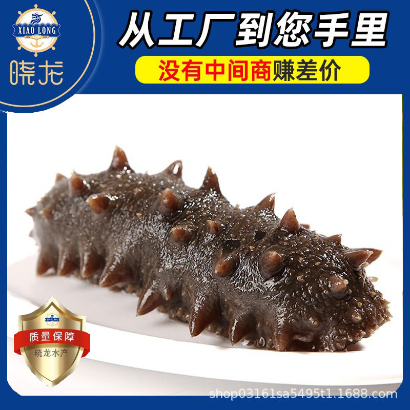 Manufacturer Wholesale Sea Cucumber Dalian Sea Cucumber Wild Sea Cucumber Sea Cucumber Sea Cucumber Non-Light Dried Sea Cucumber Fresh Ready-To-Eat Sea Cucumber