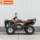 Diler Jinchi King Kong Bull ATV Вездеход внедорожный одноместный электрический горный мотоцикл для бездорожья DL40DAU-A mini 3