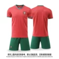 26-27 portugal home-green pants