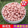 Raw Peanuts Wholesale, Freshly Peeled Peanuts, New Arrival, Powdered Rice, No Shell, Oil Extraction, White Sand Peanut Kernels